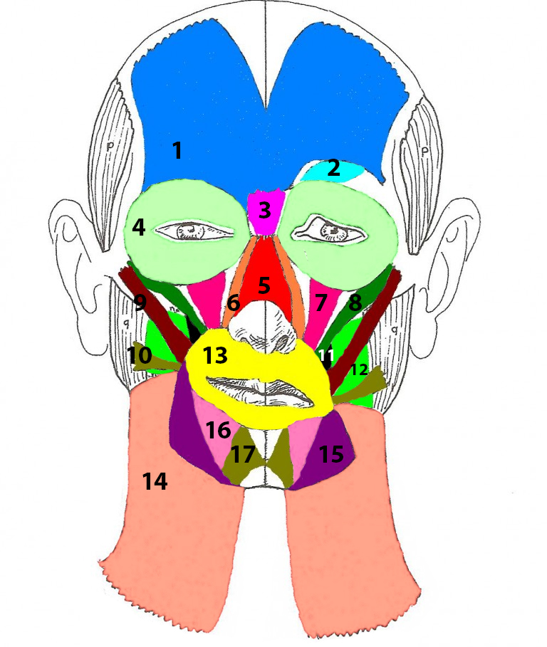 expressão facial